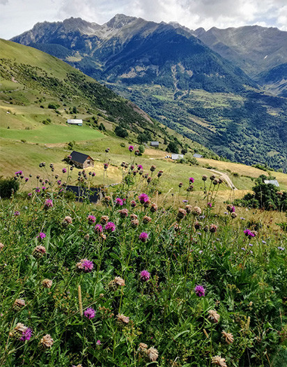 montagne-pyrenees